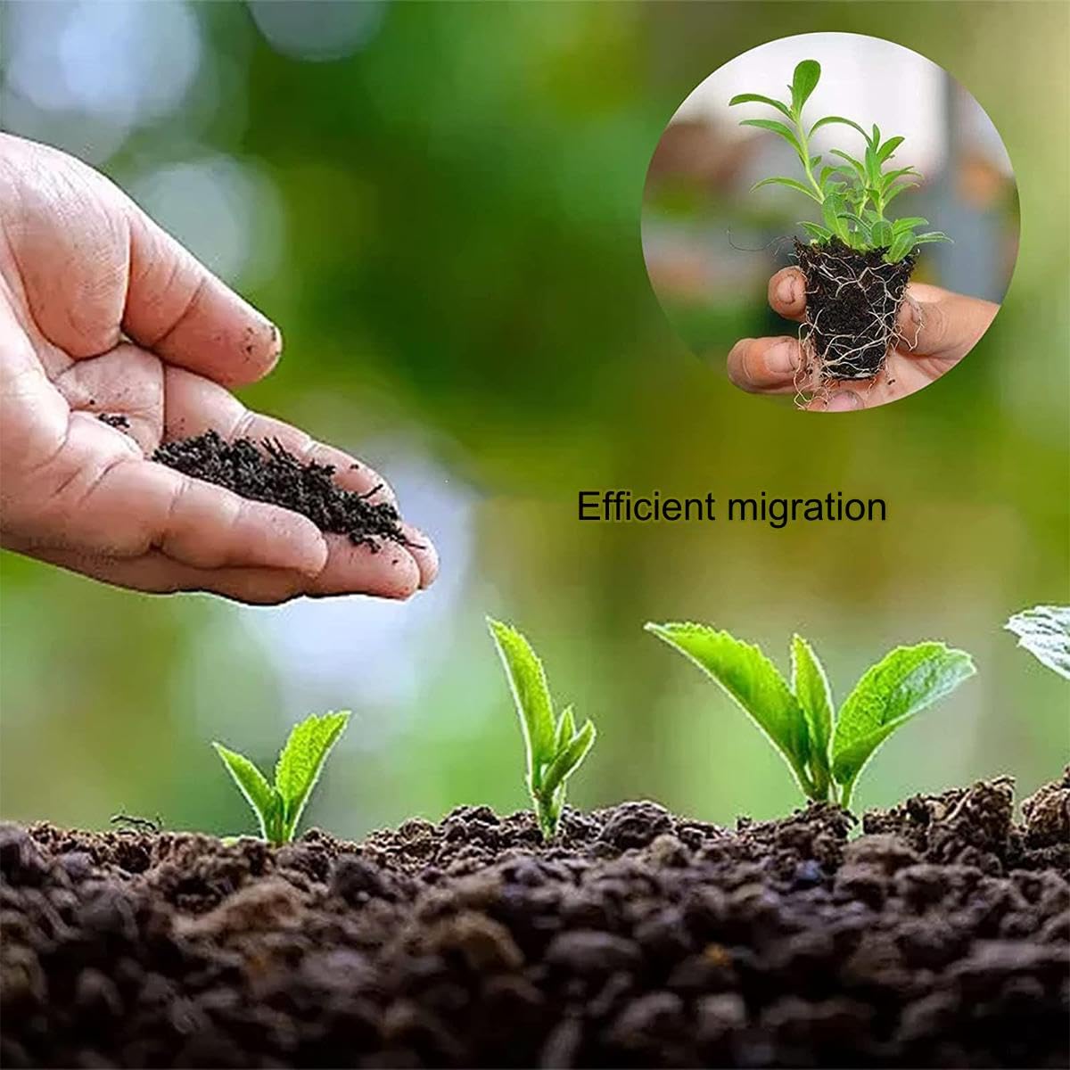 Amazon | 育苗ポット 72穴 育苗トレイ 5個セット/10個セット 種まき