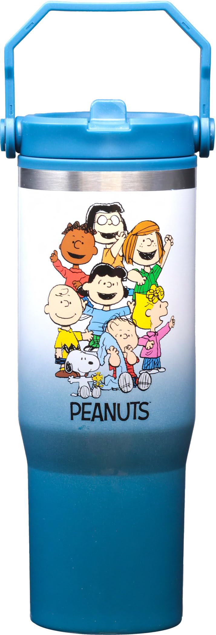 Peanuts Group 30oz Stainless Steel Water Bottle - 10" Tall, Twist Off Lid & Carrying Handle - Stainless Steel Outer Wall & Acrylic Inner Wall