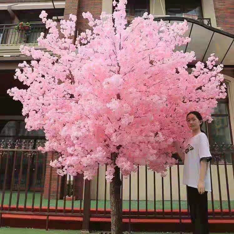 Japanische Kirschbaumblätter