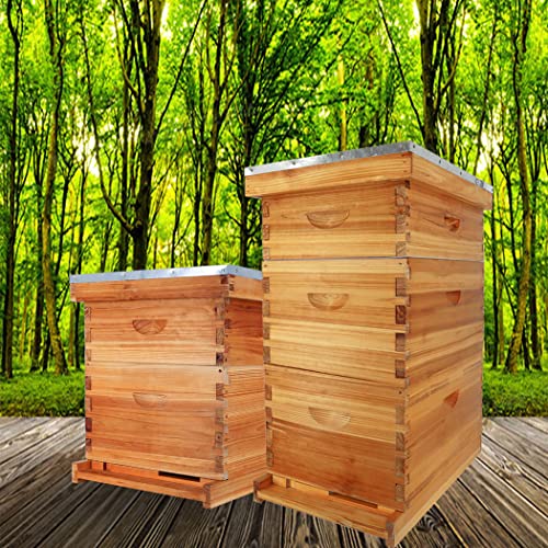 ThxBees 10-Frame Bee Hive Complete Beehive Kit Beeswax Coated Beehive Include Frames and Foundation Sheets for All Beekeeping Levels (2 Deep & 1 Medium Bee Boxes) - Image 6