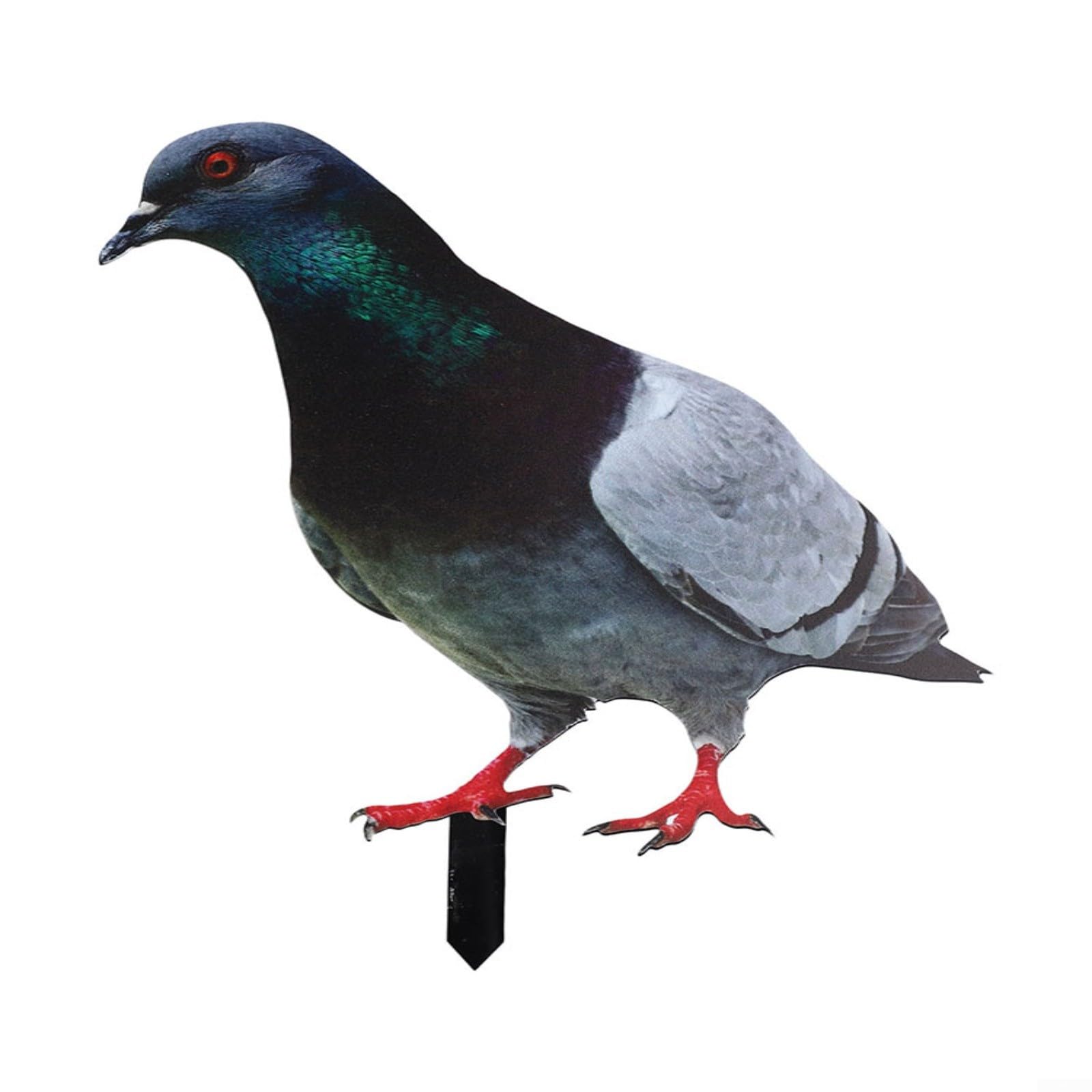MIKMLYZE 2D Acrylic Garden Pigeon Statue, Weatherproof Wild Pigeon for SCULPTURE For Yard Decor, Realistic Farm Animal Figurine With Sturdy Base For Outdoor Lawn(A)