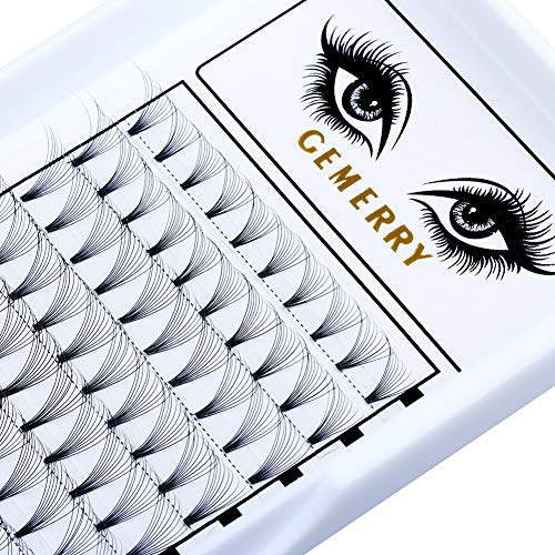 10D Eyelash Extensions Volume Premade Fans C Curl Mixed Tray 8-14mm Russian Volume Lash Extensions 0.1mm Cluster Prefanned Silk Professional by GEMERRY (10D-0.1-C-Mix)