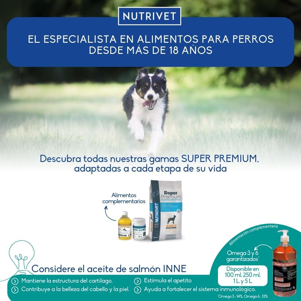 NUTRIVET - Super Premium - Saumon Riz - Croquettes sans Blé - Chien - Riche en Protéines Animales - 15 kg