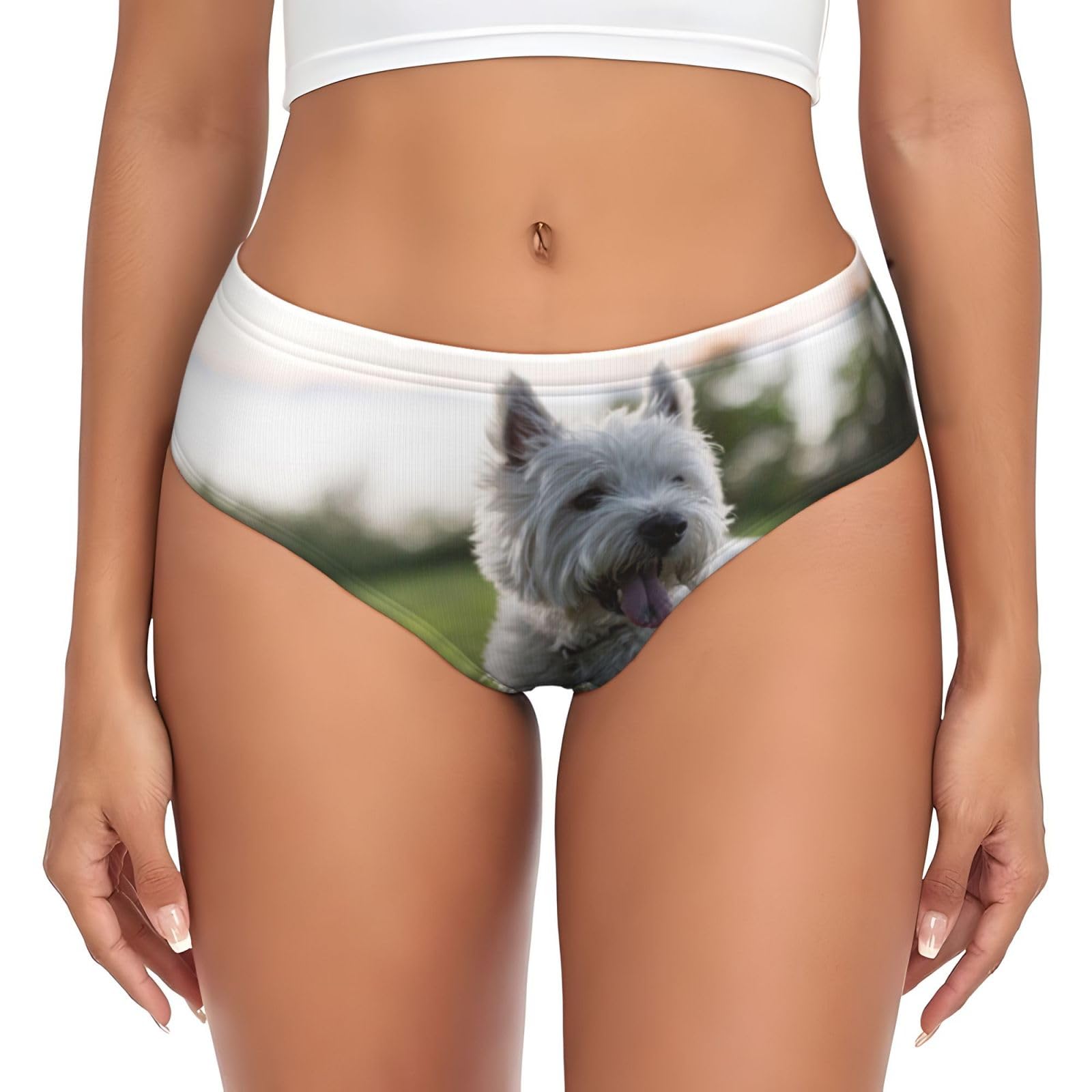 YOFIEN Westie Lawn West Highland White Terrier Dogs,Women's Briefs Underwear Support Pouch Comfort Soft Briefs for Women
