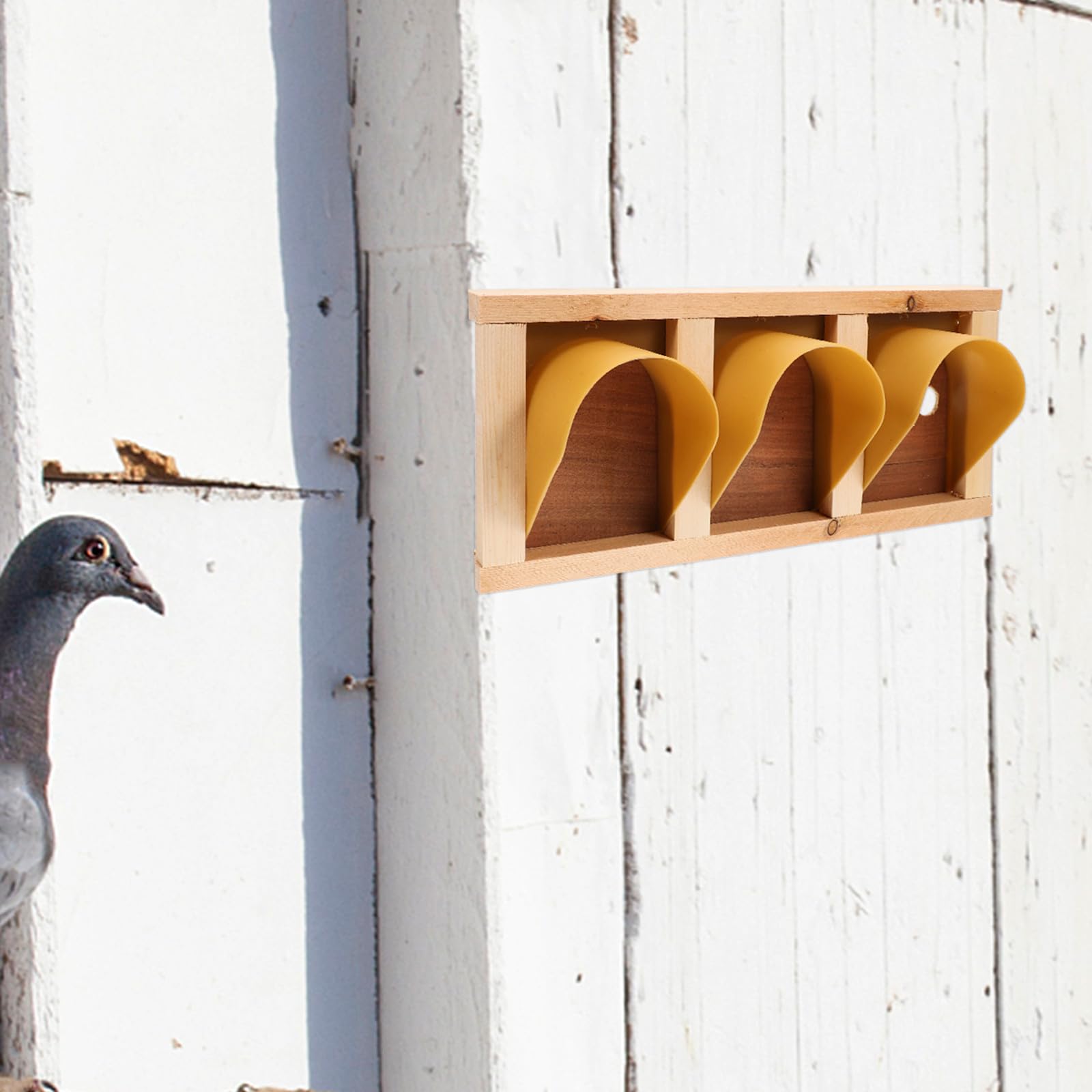 Puerta de Madera para Jaula de Palomas y Acceso Conveniente Estilo Europeo Instalación Fácil Diseño Esquinas Redondeadas Color Caqui para Carreras y Salto de Palomas