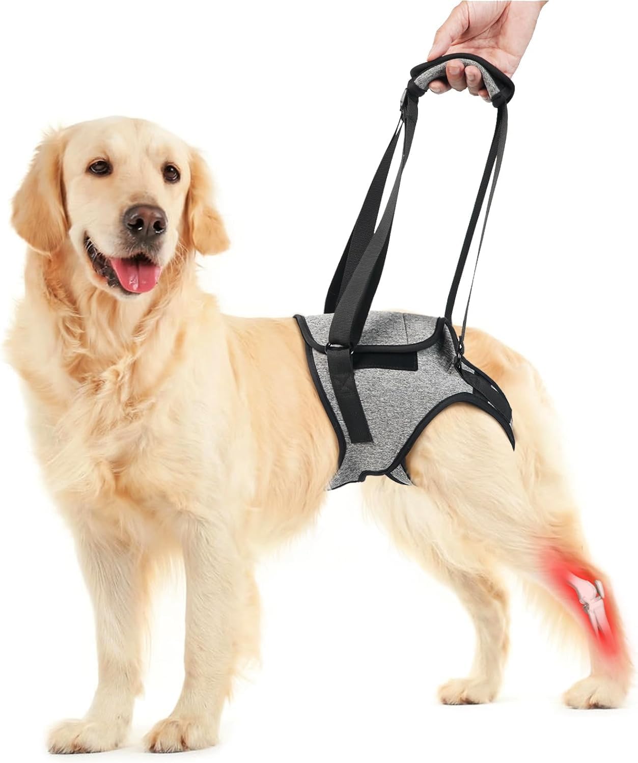 Dog Lift Harness for Back Legs, Dog Sling Carrier Dog Hip