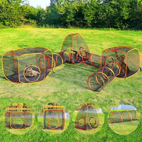 Houseables Leg O L gl |[^u JeB O peBIGN[W[ LeB eg Op xr[T[N  ybg P[W vCy glt L[u vCnEX ͂ bV 6 in 1