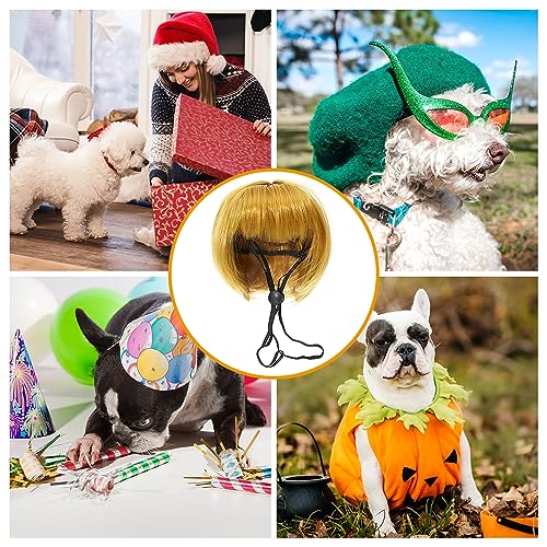 Parrucca dorata regolabile per cosplay, costume