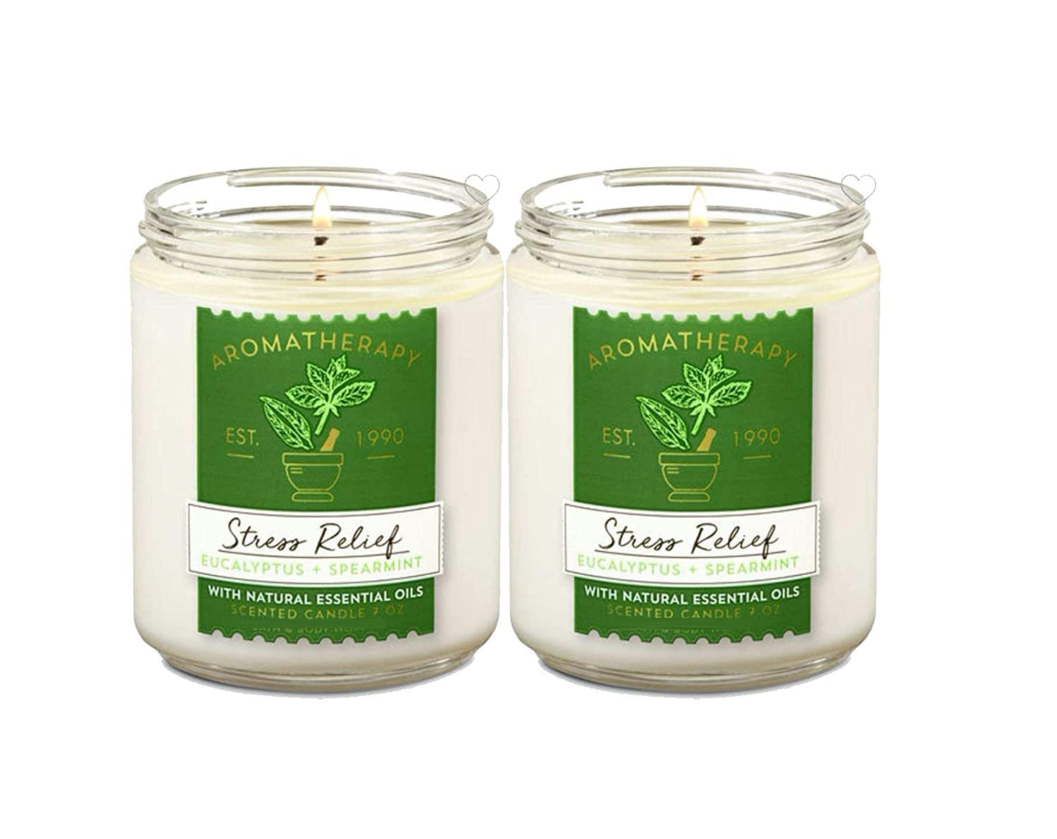 Stress Relief Aromatherapy Scented Candles | Eucalyptus Spearmint Scent | | Soy Based Wax | Natural Essential Oils | 2 Pack | 300g Each
