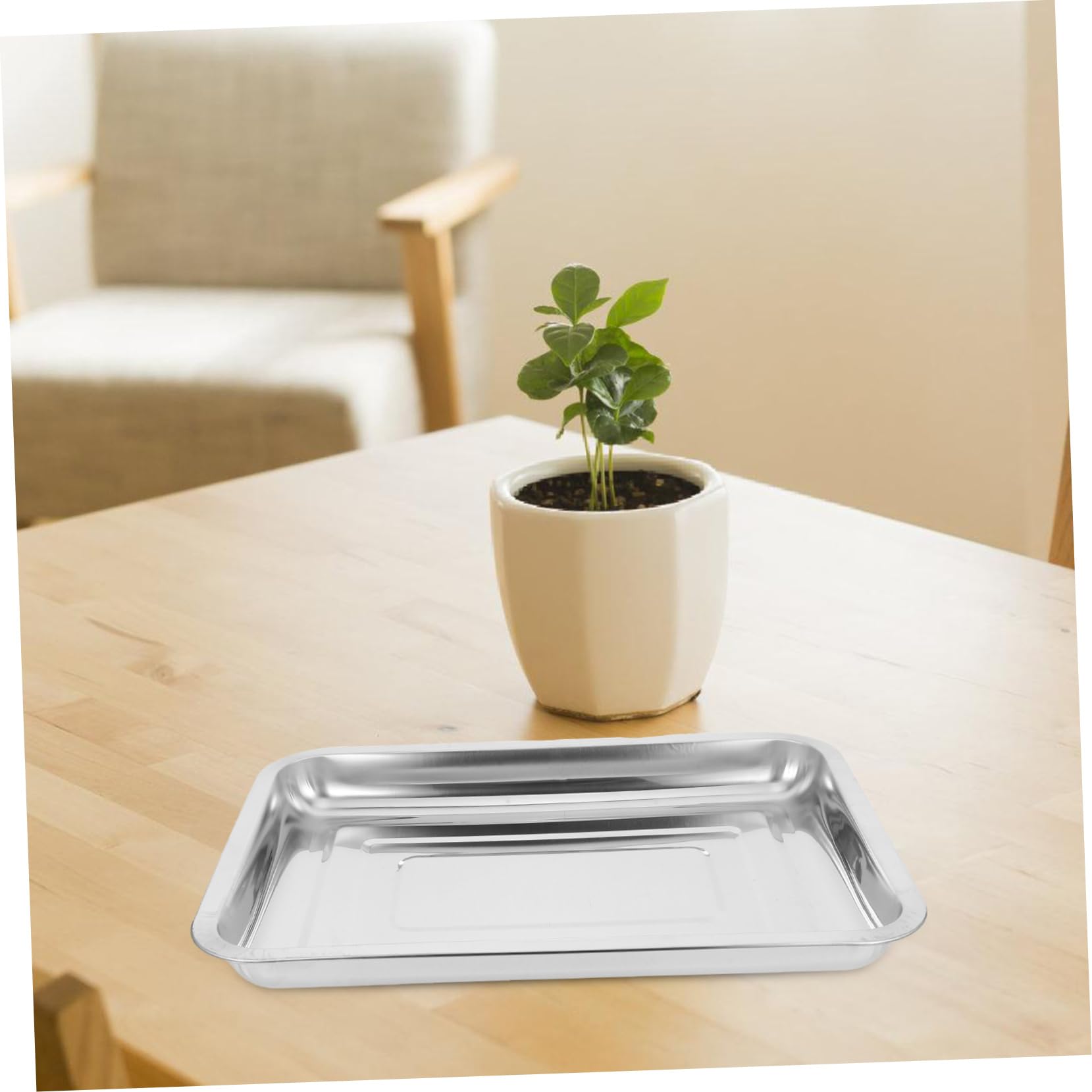 VICASKY Vassoio per Germinazione Semi 4 Pezzi in Acciaio Inox