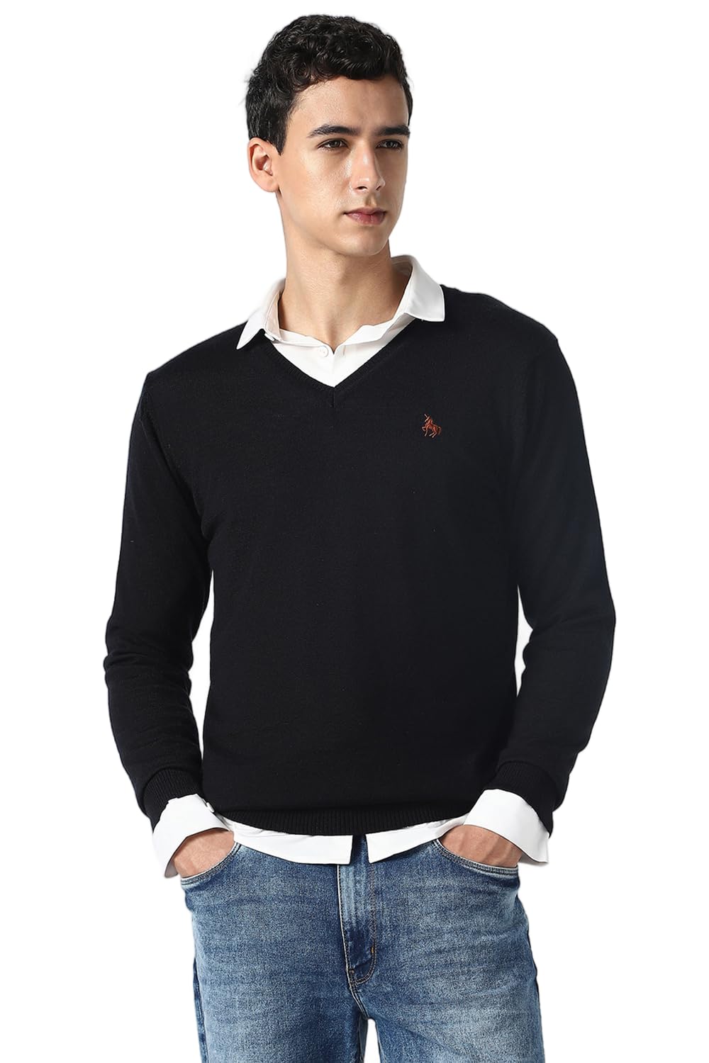 van heusen Men Sweater-picture-11