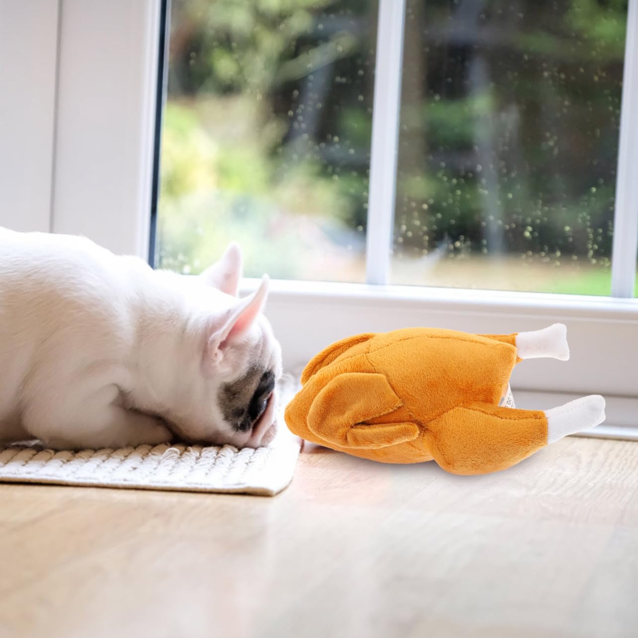 BESPORTBLE Lot De 4 Jouets Interactifs À Mâcher pour Chien Amusants Et Sûrs pour La Santé des Animaux De Compagnie