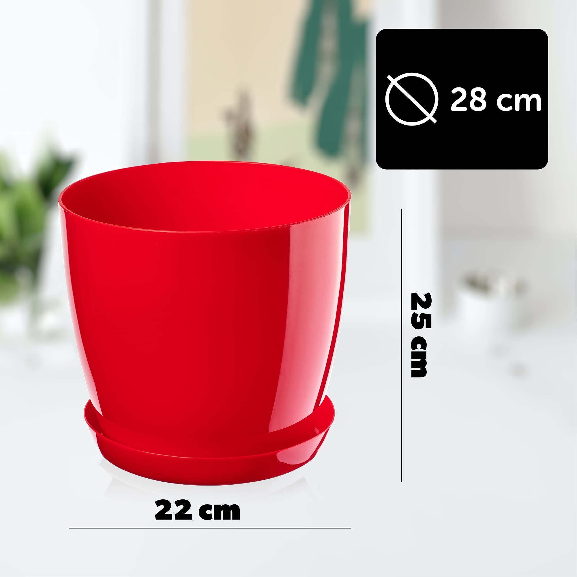 Maceta Blanca De Plástico: Descubre Las Mejores Opciones Para Decorar
