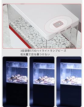 Amazon | loyfreeyo 水槽 メダカ 金魚鉢 水槽セット