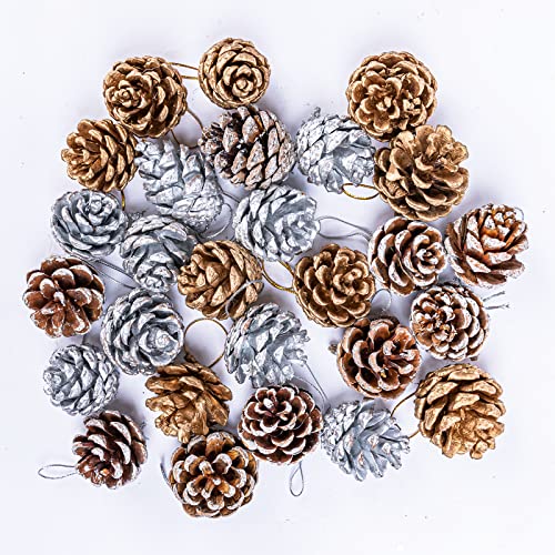 Lot de 27 Pommes de Pin, 3 Couleurs Naturelles, Argentées/Dorées/Blanches, Guirlande de Noël, Étiquette Cadeau, Suspendre