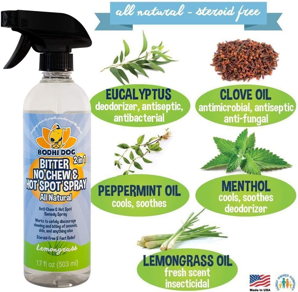 Bodhi Dog Bitter 2 in 1 No Chew 17oz + Peppermint Dental Water Addititve Bundle