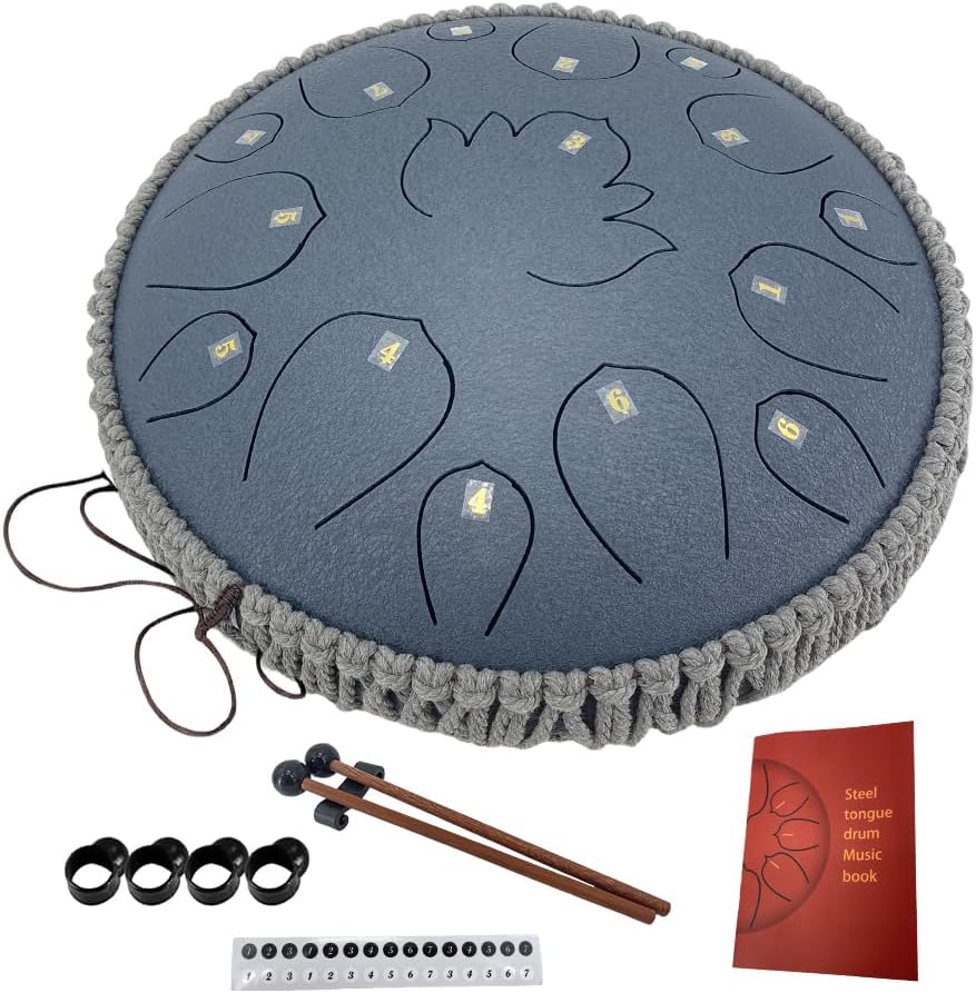 Rain Drum for Outside 13 Inches 15 Notes C Major Steel Tongue Drum Percussion Instrument with Mallets Music Book and Bag