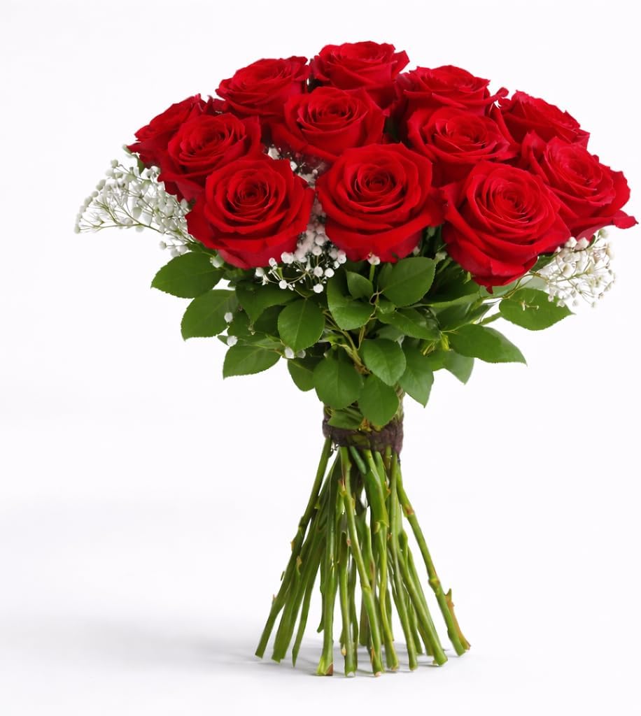 GlobalRose Fresh Dozen Red Roses & Fillers - Fresh Flowers Bouquet for Valentine's Day
