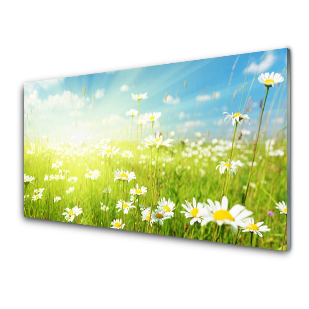 Impression sur Verre Trempé 100x50cm avec Motif Meadow Marguerites Nature pour Déco