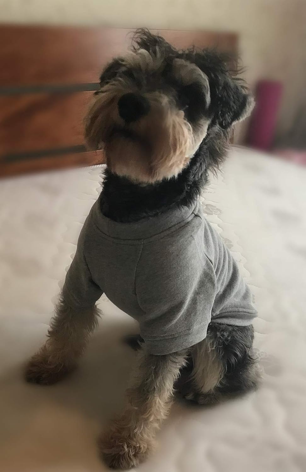 Lovelonglong Dog Pullover Sweatshirt Autumn Winter Cold Weather Dog T-Shirts for Small Medium Large Size Dogs Toy Poodle Clothes Gray M - Image 4