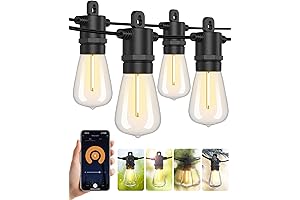 XMCOSY+ Smart Outdoor String Lights