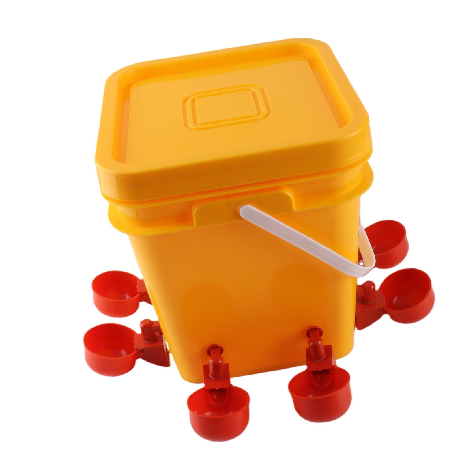 Abbeveratoio Automatico per Pollame, 12 Litri Plastica Durevole con Gravità Beverino per Anatre Oche e Uccelli Domestici for Allevamento Avicolo e Giardino