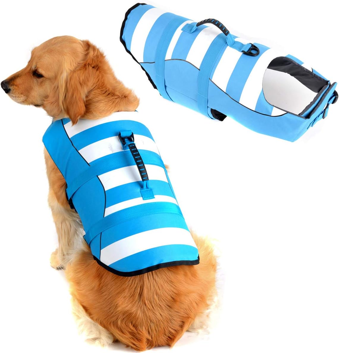 Extra small dog life vest Clearance