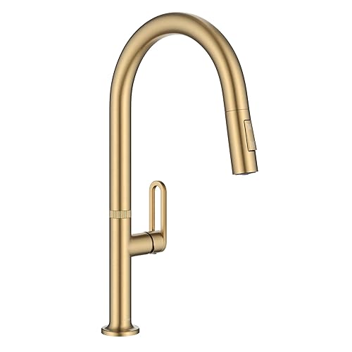Vetra 2-Function Single Handle Pull Down Kitchen Faucet in Spot-Free
