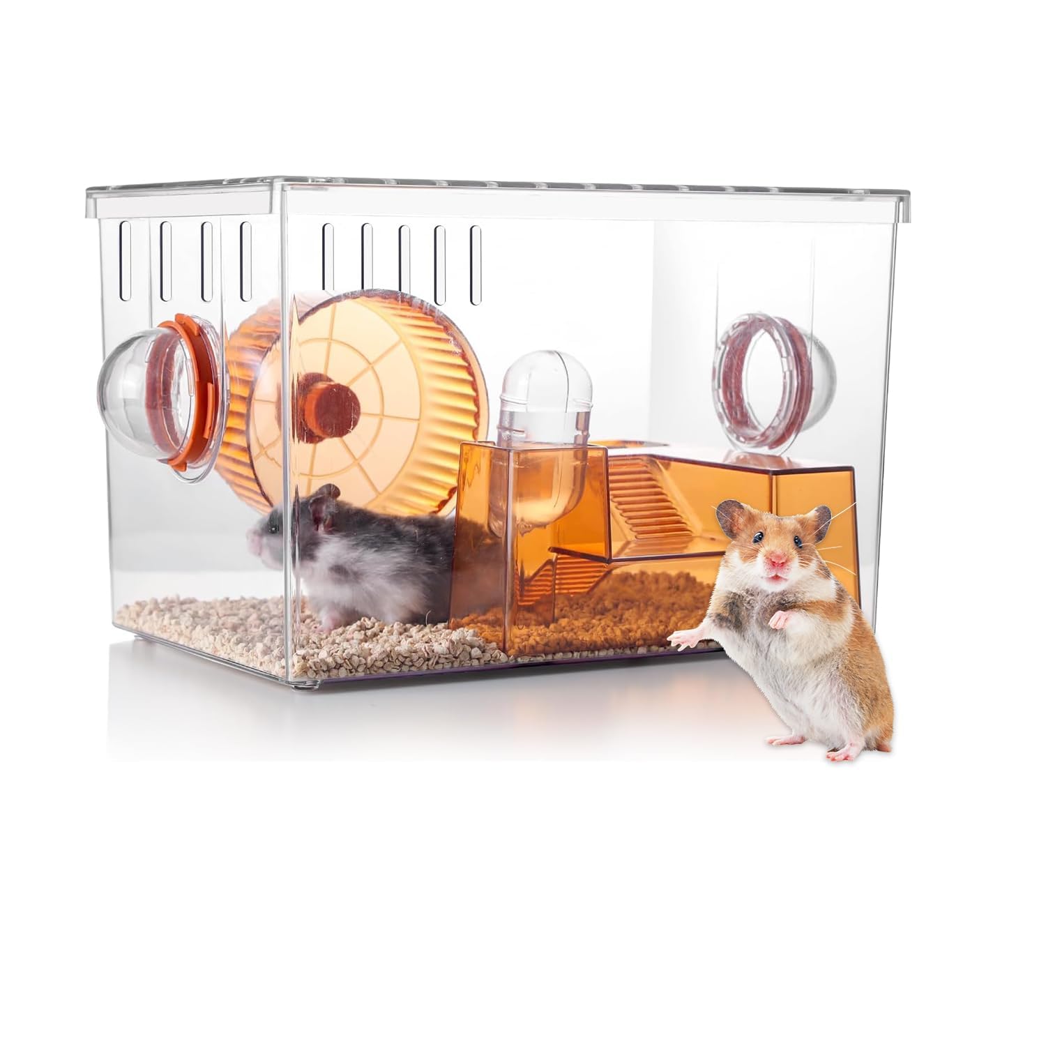 YellowCult Hamster Cage Chewproof, Rat Mouse Squirrel Hamster Tiny pet Habitat (30 X 20 cm) Acrylic Front & Openable Top, Easy Clean Ventilated, Indoor Pet House with Food Bowl Bottle Running Wheels-image-43