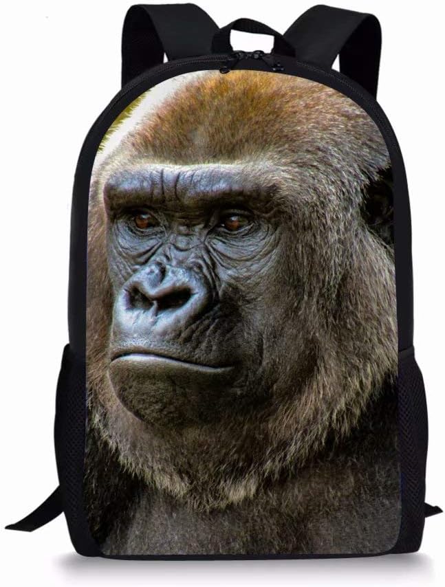 Beauty Collector Gorilla Backpack Book bag Set for Kids Elementary School