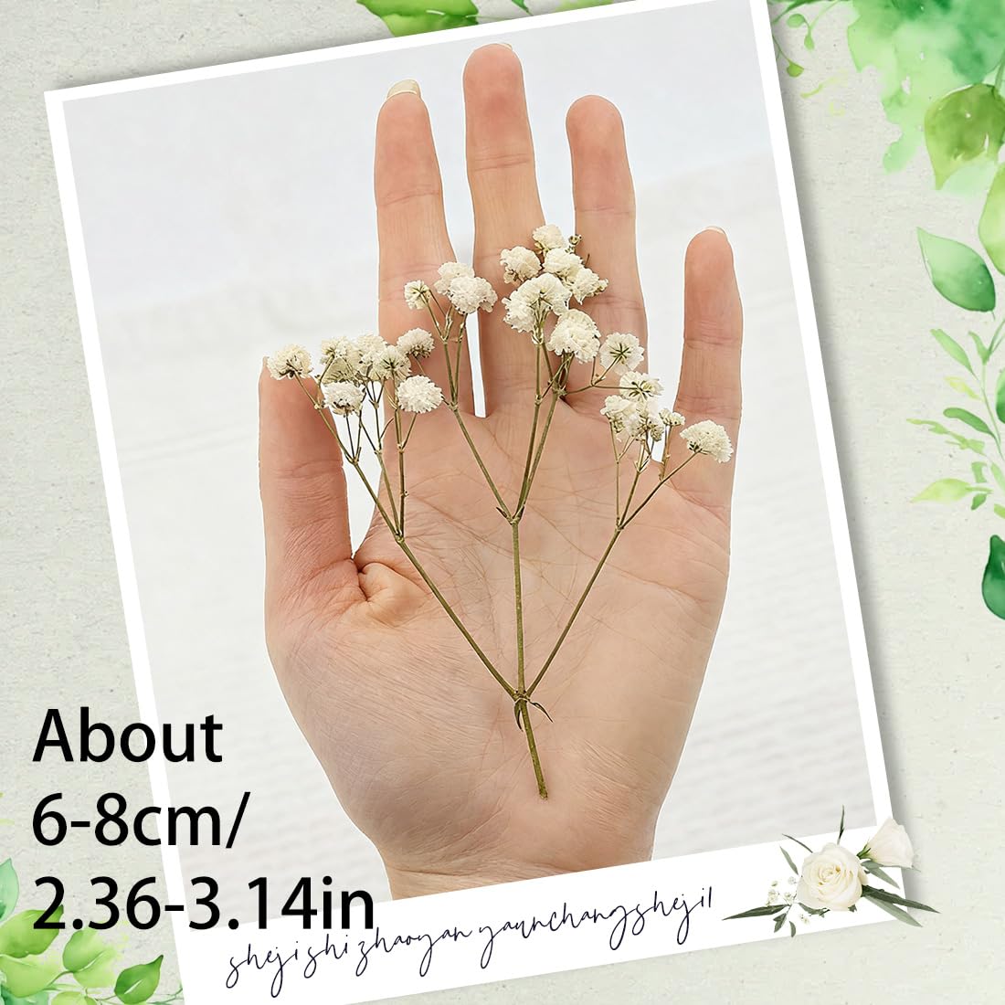 Gypsophila Essiccata Bianchi 100 Pezzi Fiori Secchi per Decorazioni Nozze Artigianato Resina