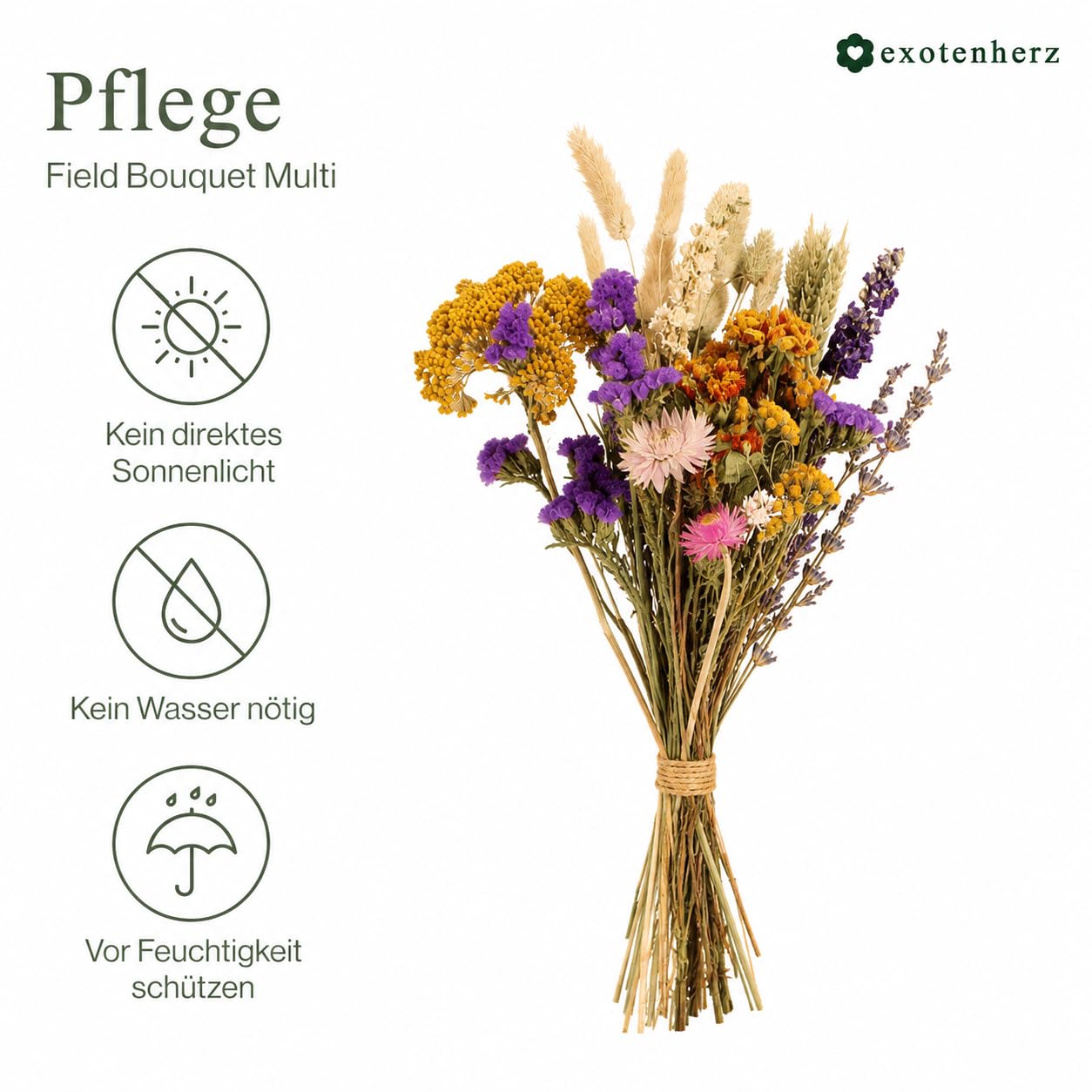 Exotenherz Bouquet de fleurs séchées - Fleurs de champ naturelles - 25 cm