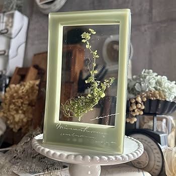 errer 球根付きミニチューリップ 壁掛け 樹脂標本 植物標本 アンティーク errer 球根付きミニチューリップ 壁掛け 樹脂標本 植物標本