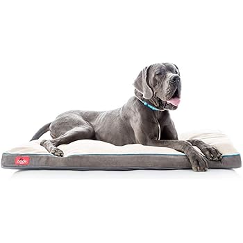 shredded memory foam dog bed