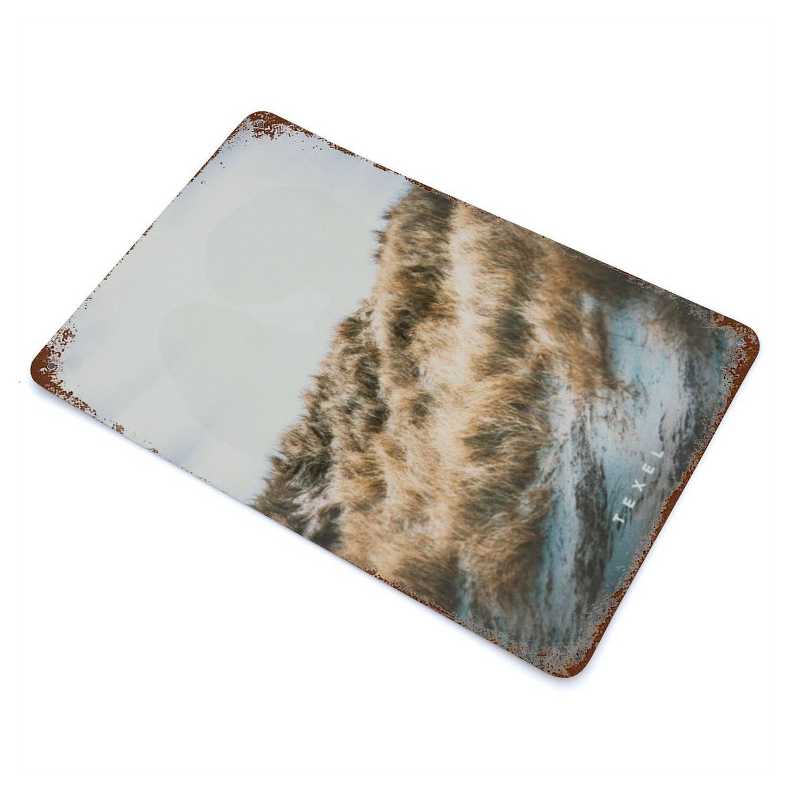 Texel Rusty Metal Tin Sign 11.8"x7.9", for Living Room, Hallway And Home Decor, Old School Wall Decor