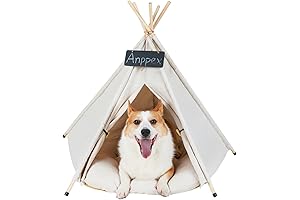 ANPPEX Mini Teepee: A Cozy Haven for Your Furry Friends