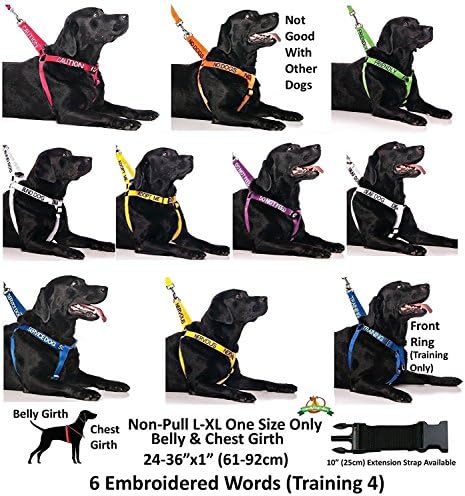 chaos non pull dog harness