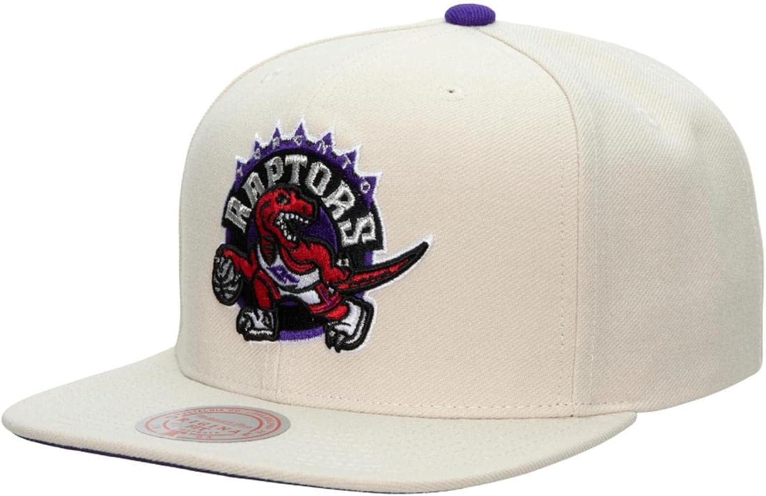 Lids raptors champions hat shop