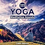 Meditation Guide Records