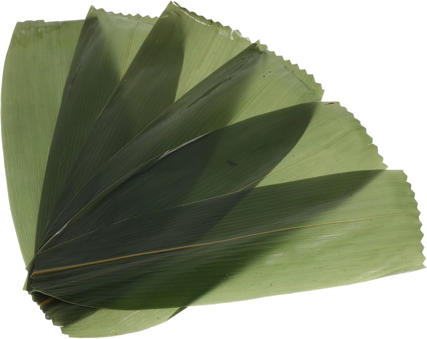 SOLUSTRE 100pcs Sushi Making Supplies Bamboo Leaf Arrangement for Decor Sashimi Plate Decor
