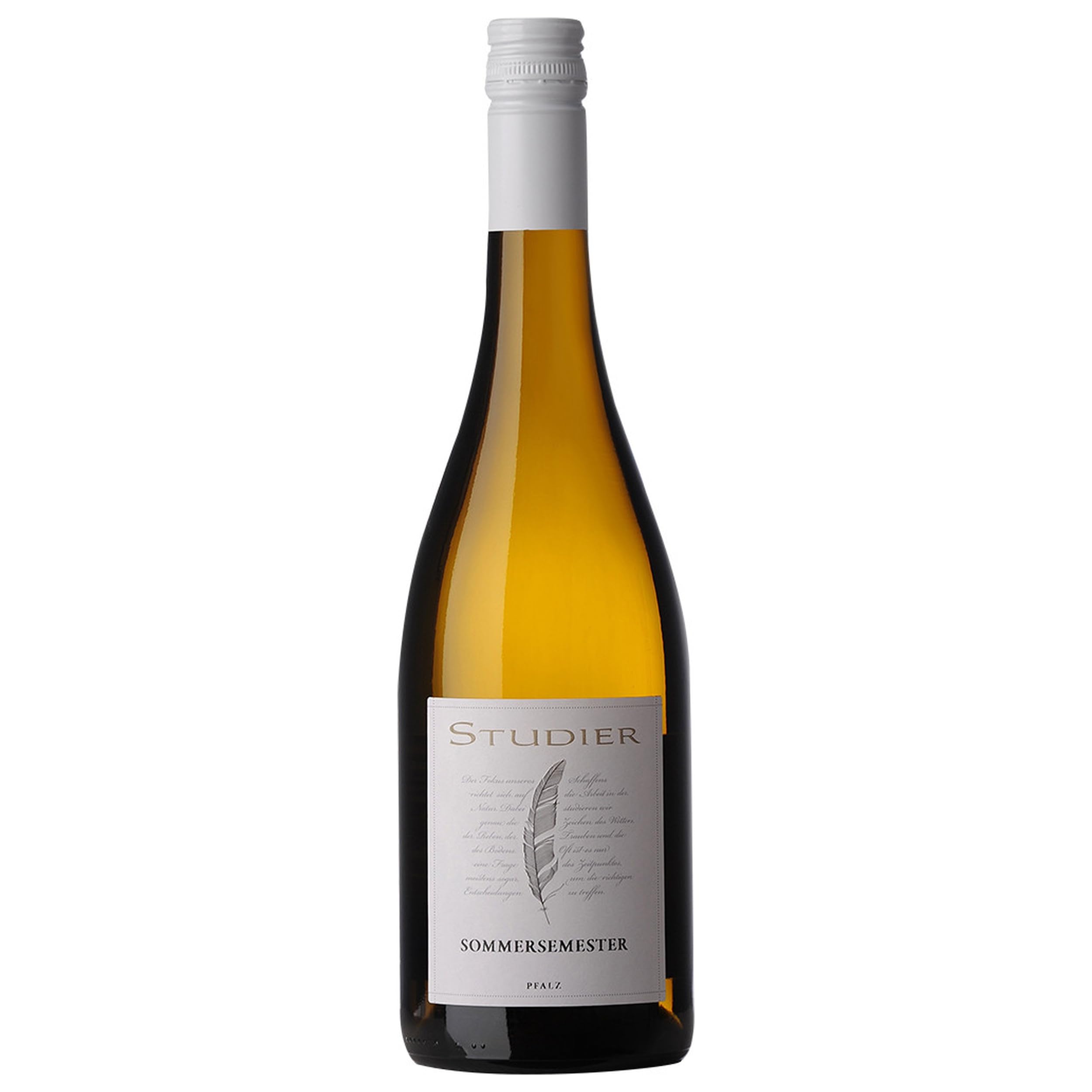 Weingut Studier SOMMERSEMESTER BIO vegan Deutschland inkl. FeinWert E-Book (6 x 0.75 l)