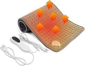 DEWEL Hot Mat, Electric Carpet, 10-Level Temperature Control, 11.8 x 23.6 inches (30 x 60 cm), Timer Function, Hot Carpet, Mini, Fast Heating, Washable, Overheating Protection, Abdomen, Neck, Back