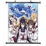 Infinite Stratos Anime Fabric Wall Scroll Poster (16' x 17') Inches. [WP]-Infinite Stratos-27