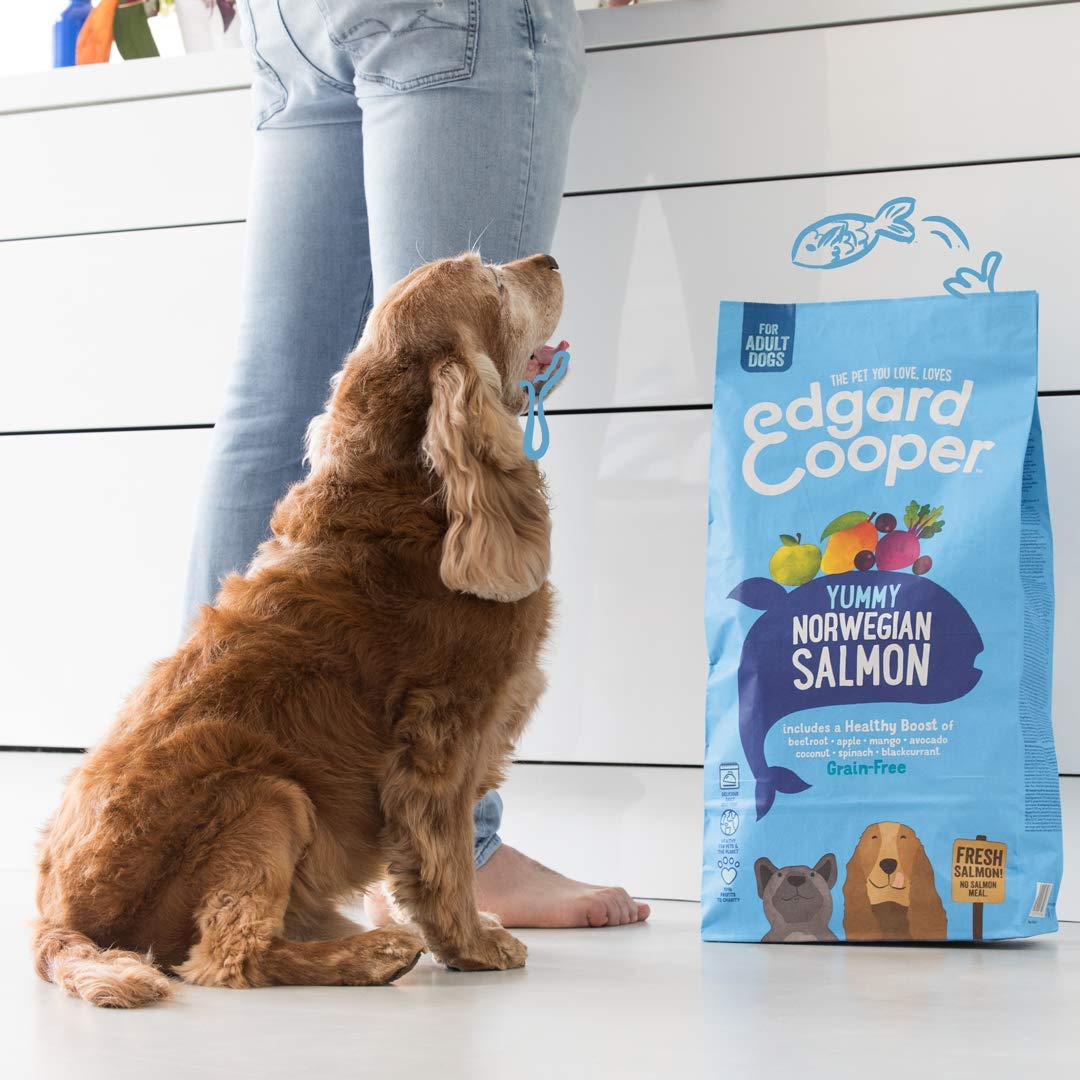 Edgard & Cooper - Cibo secco per cani (salmone, 12 kg), senza cereali, ingredienti naturali e carni fresche, pieno di aminoacidi essenziali