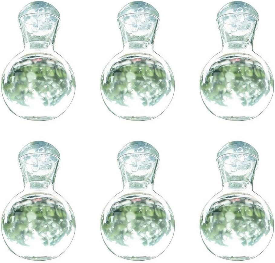 Maceta colgante de polietileno transparente con ventosas y ganchos para estación de propagación de ventana transparente para una fácil observación de raíces elegantes (juego de 6)
