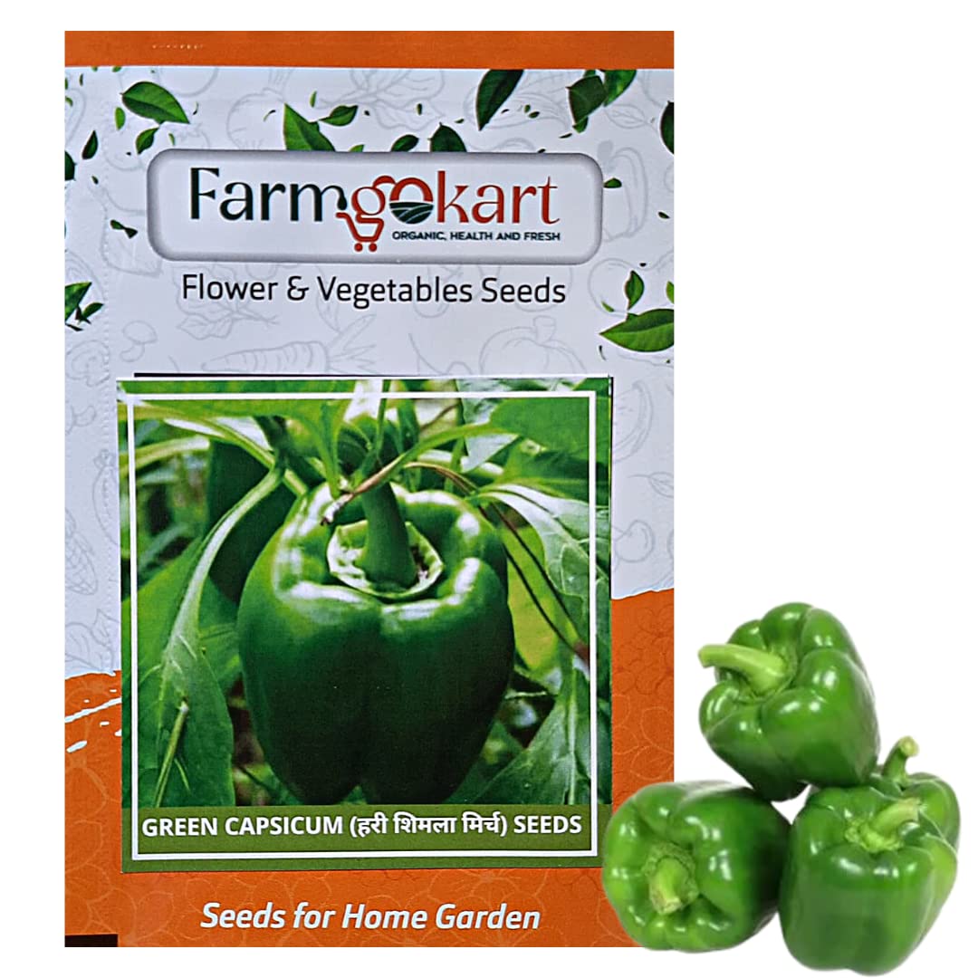 Farmgokart | GREEN CAPSICUM (Bell Pepper) SEEDS | Appx 50 Seeds Per Packet | Best Suitable For Home Gardening | (B09NKZXJGB) Amazon Price History, Amazon Price Tracker