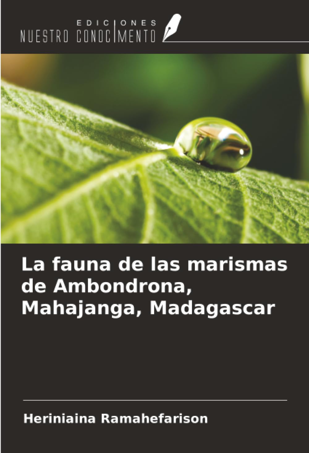 La fauna de las marismas de Ambondrona, Mahajanga, Madagascar