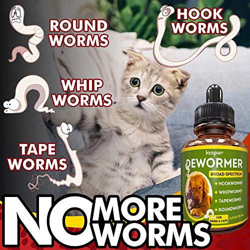 Best Cat Dewormers in 2020 Ratings, Prices, Products ACuteADay