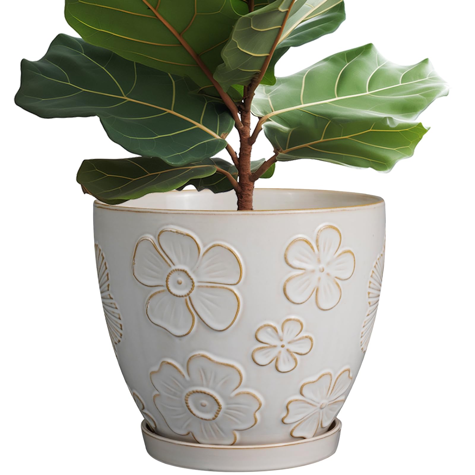MPotTo Ceramic Planter