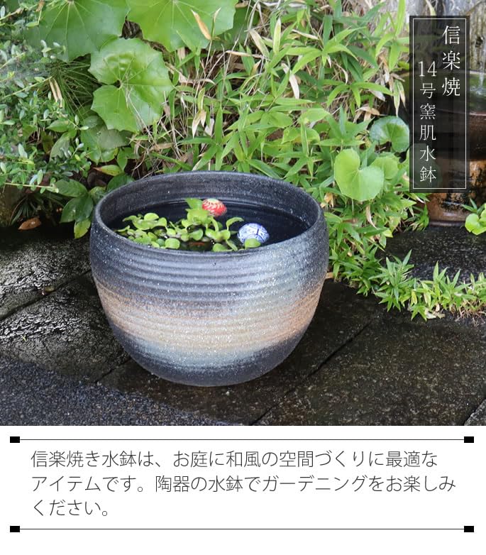 Amazon.co.jp: 信楽焼 睡蓮鉢【14号窯肌スイレン鉢 su-0230】すいれん